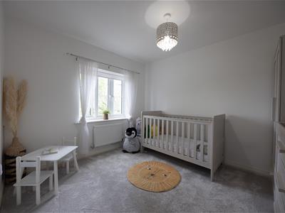 Picture 23